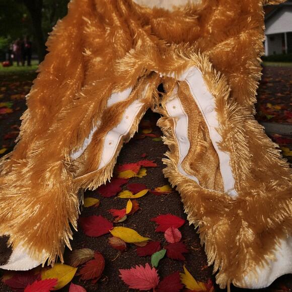 Baby Bear Costume - Picture 5 of 5